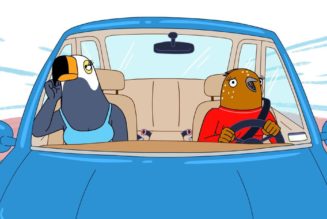 Tuca & Bertie has been canceled by Adult Swim