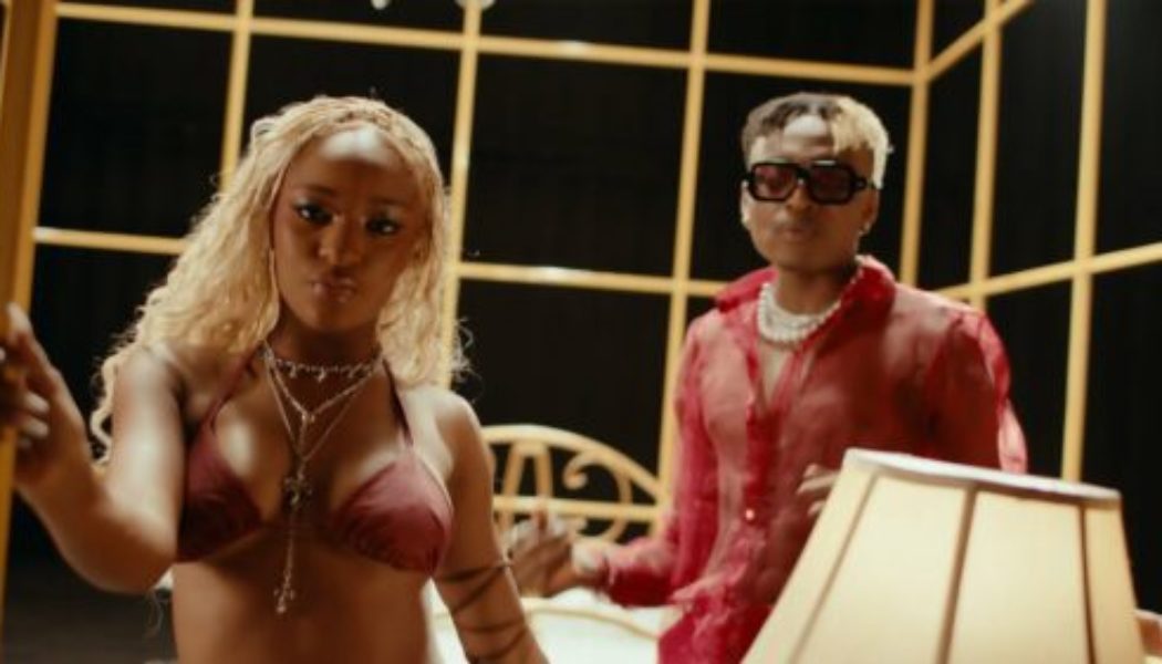 VIDEO: Cheque – Dangerous ft Ayra Starr