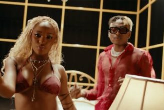 VIDEO: Cheque – Dangerous ft Ayra Starr