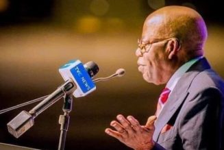 VIDEO: I will recharge Lake chad if elected – Tinubu