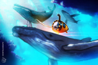 What are crypto whale trackers and how do they work?