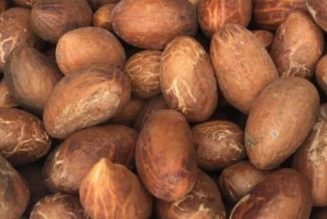 3 Reasons Why You Should Start Eating Bitter Kola