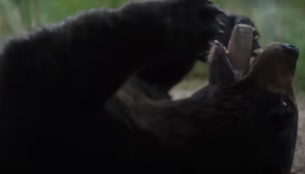 A Bear On Blow? The ‘Cocaine Bear’ Trailer Is As Wild The True Story