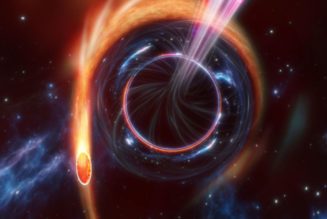 A black hole ripped apart a star and brought together astronomers from around the world 