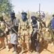 Bandits Kill 21 In Bauchi, Katsina