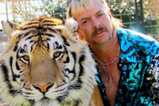 Biden Signs “Tiger King” Bill Prohibiting Private Ownership of Big Cats