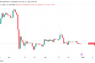 Bitcoin stays put with yearly close set to seal 60% YTD BTC price loss