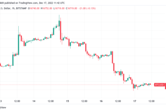 Bitcoin still lacks this on-chain signal for BTC bull market — David Puell