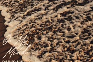 Darkovibes – On My Mind ft Kelvyn Boy