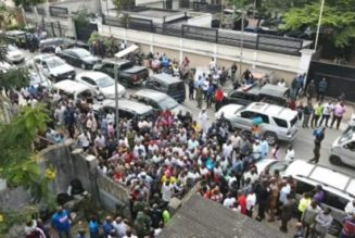 EFCC Conducts Public Auction of Over 400 Cars in Lagos