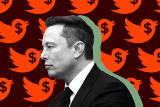 Elon Musk is Elon Musk-pilled