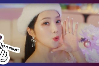 Fan Chant: K-Pop Highlights of 2022 and Holiday Cheer