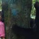 First Trailer for ‘Cocaine Bear’ Readies Audiences for the Wild True Story