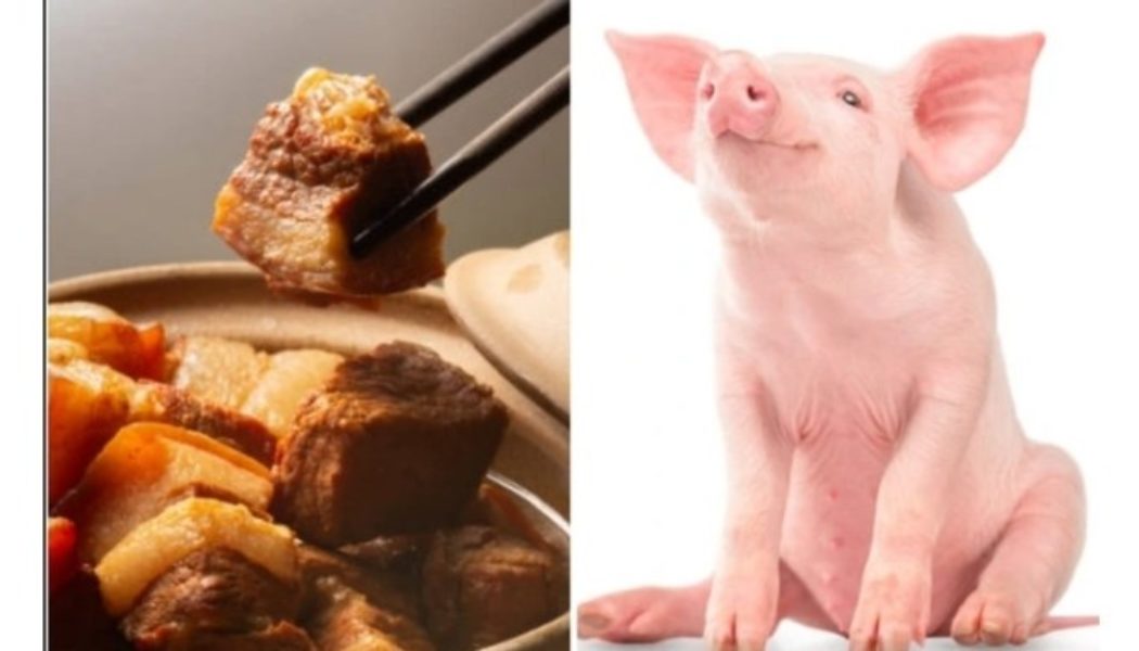 Five Reasons Why You Should Stop or Avoid Eating Pork Meat