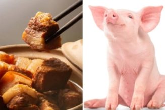 Five Reasons Why You Should Stop or Avoid Eating Pork Meat