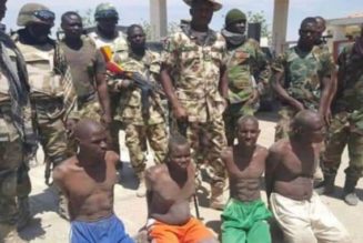 Four top Boko Haram Terrorists commanders surrender to troops in Borno