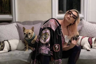 Gunman Who Shot Lady Gaga’s Dog Walker Sentenced to 21 Years in Prison