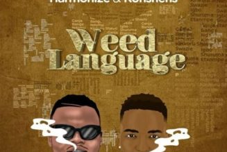 Harmonize ft Konshens – Weed Language