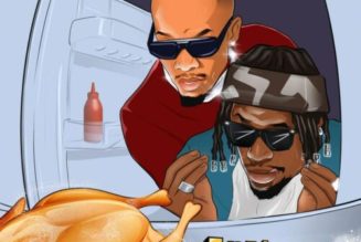 King Perryy ft Tekno – Turkey Nla