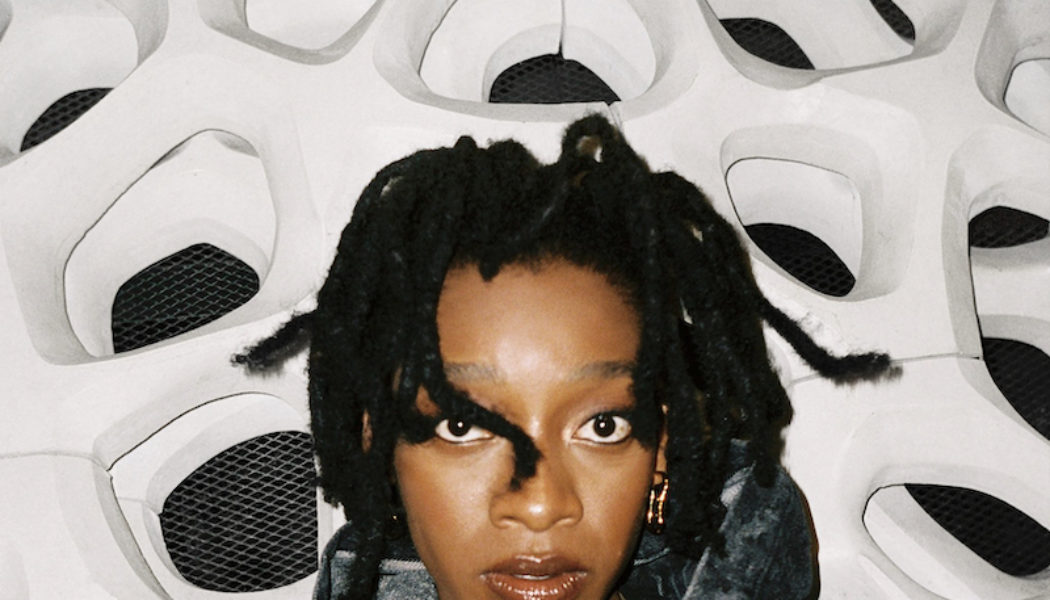 Little Simz Reveals New Album NO THANK YOU: Stream