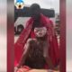 Morals Are Gone – See A Boy And A Girl Performing S3x Act In Public In The Name Of Advertisement
