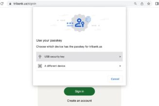 Now you can go password-free in Chrome with passkeys