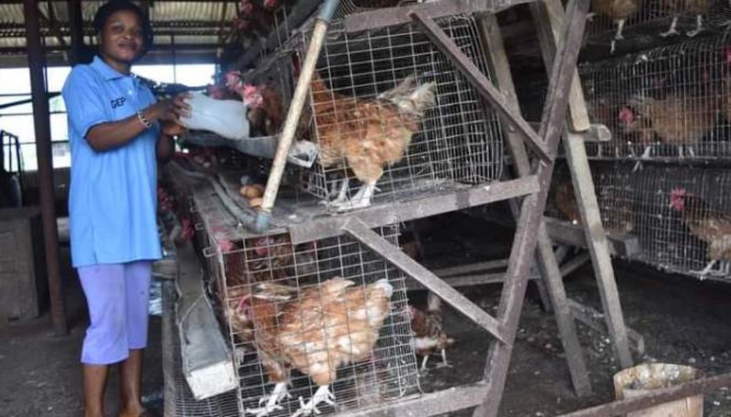 Okowa’s job creation YAGEP Made Life Easier for My Family -Ndibisi