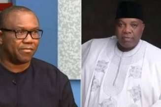 Peter Obi’s Campaign DG, Doyin Okupe Resigns After Being Convicted By Court
