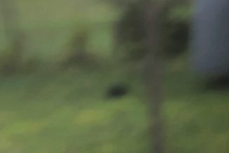 Skee Mask Releases New Album B: Listen