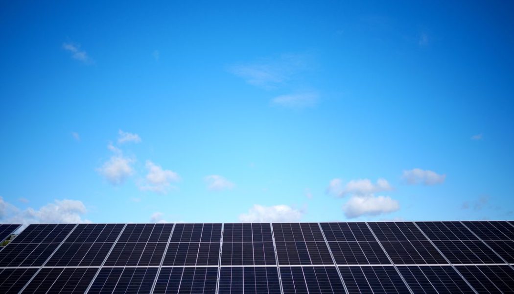 The global energy crisis ‘turbocharged’ renewable energy growth