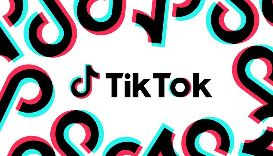 TikTok’s best of 2022 shows its most viral videos are getting smaller