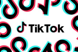 TikTok’s best of 2022 shows its most viral videos are getting smaller