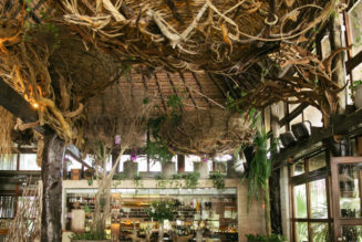 Tulum’s Mía Beach Club Announces Must-See Shows With Major League DJz, Franky Wah and More