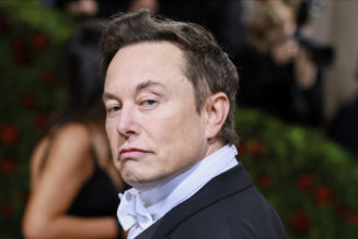 Twitter Users Vote for Elon Musk to Step Down, He Pledges to “Abide by the Results”