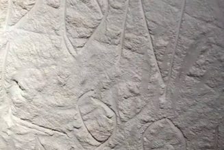 Vandals Destroyed Ancient Cave Art in Australia