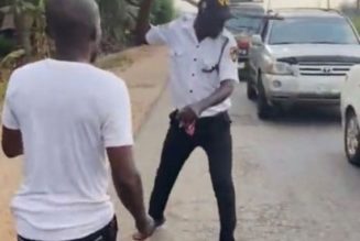 VIDEO: Outrage as Vehicle Inspection officer is seen mercilessly assaulting a motorist who had his complete vehicle documents in Owerri