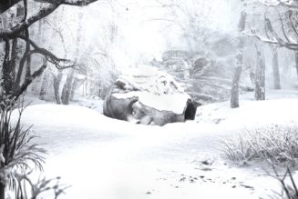 Weezer Share New Song From Sznz: Winter EP: Listen