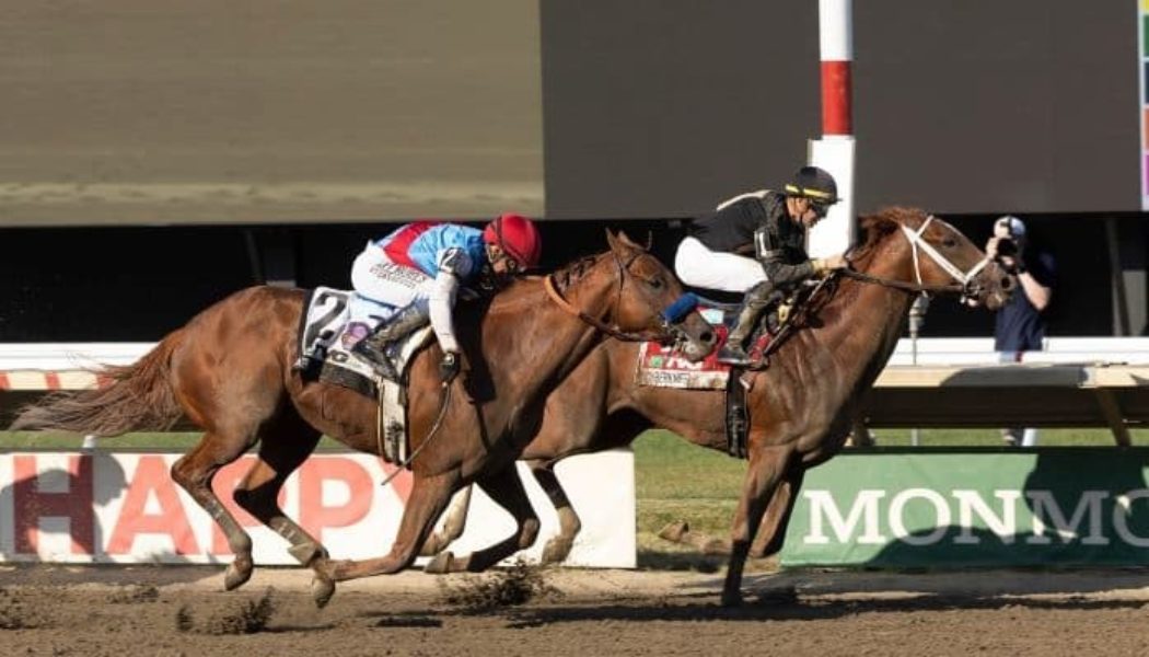 2023 Pegasus World Cup Invitational Stakes | Cyberknife Among Final Invites