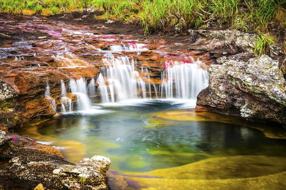 Caño Cristales in Colombia