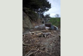 8 New Albums You Should Listen to Now: Mac DeMarco, Ice Spice, John Cale, and More