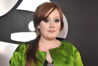 Adele, Coldplay & More Future Superstars Who Lost the Brit Award for Best New Artist