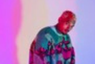 Chris Brown’s Monkey Dealer Gets License Terminated