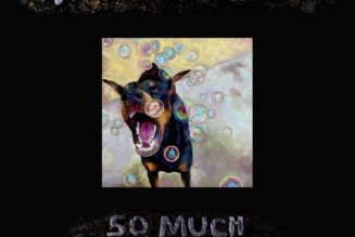 Fall Out Boy Announce First Album Since 2018, Share Video for New Song: Watch