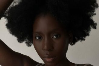 I’ve Done the Research—These Are the Best Blow Dryers for Afro Hair