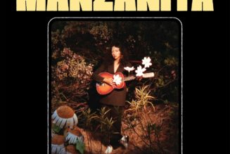 La Luz’s Shana Cleveland Announces New Album, Shares Video: Watch