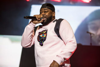 New Ghostface Killah Album Dropping Exclusively On Stem Player