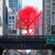 Pamela Rosenkranz Will Unveil a Brooding Pink Tree at the High Line in New York