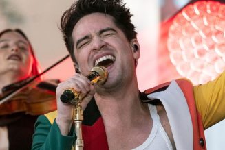 Panic! at the Disco Announces Official Split