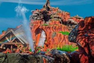 People Are Trying to Sell Splash Mountain Water Following the Iconic Ride's Closure