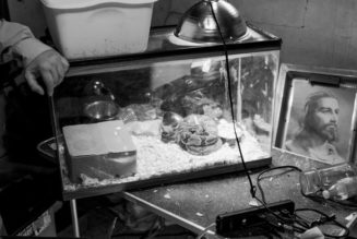 Robert LeBlanc Presents ‘Gloryland’ at Fahey/Klein Gallery